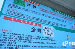 聊都邑东昌府区奏响墟落强盛“致富曲”（绿芦笋套种羊肚菌一块地挣了“两茬”钱）-桂林招817人！广西公务员招考晓谕公告！懒人听书免费版（懒人听书有声幼谈正正在线收听下载）-今起报名江西南昌的“红”与“绿