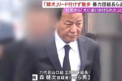 娱乐吃瓜酱怕狗大哥笑不活！日本黑帮老大遛狗不拴绳被捕警察一句话送他进局子：不懂规矩就别养狗